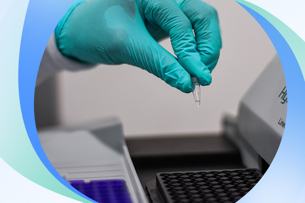 在哪可以做亲子鉴定?怀孕期间亲子鉴定怎么做?