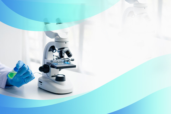 亲子鉴定多久能出结果?DNA亲子鉴定实验步骤