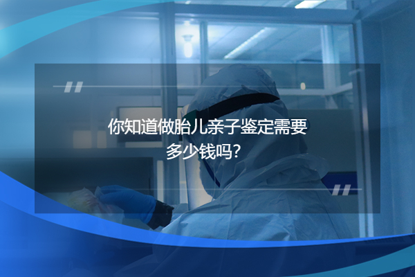你知道做胎儿亲子鉴定需要多少钱吗?