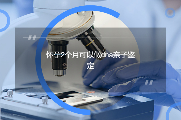 怀孕2个月可以做dna亲子鉴定（怀孕期间怎么做dna亲子鉴定）