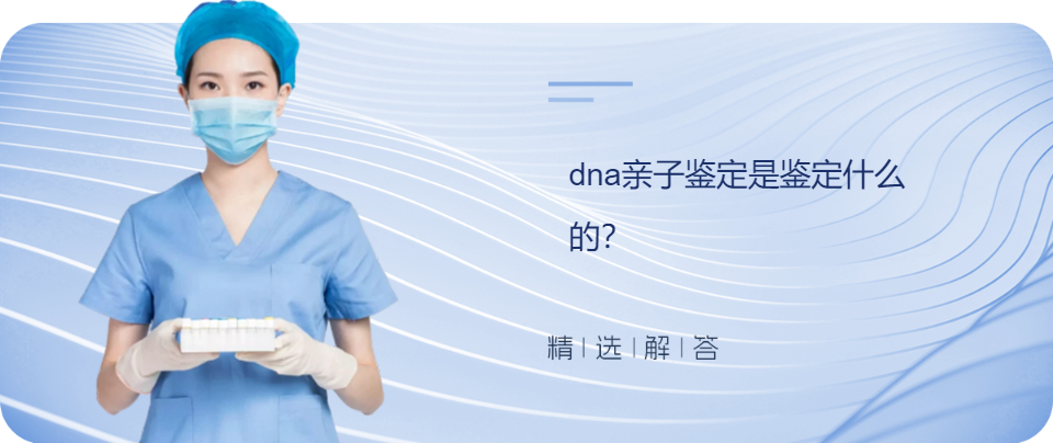 dna亲子鉴定是鉴定什么的？